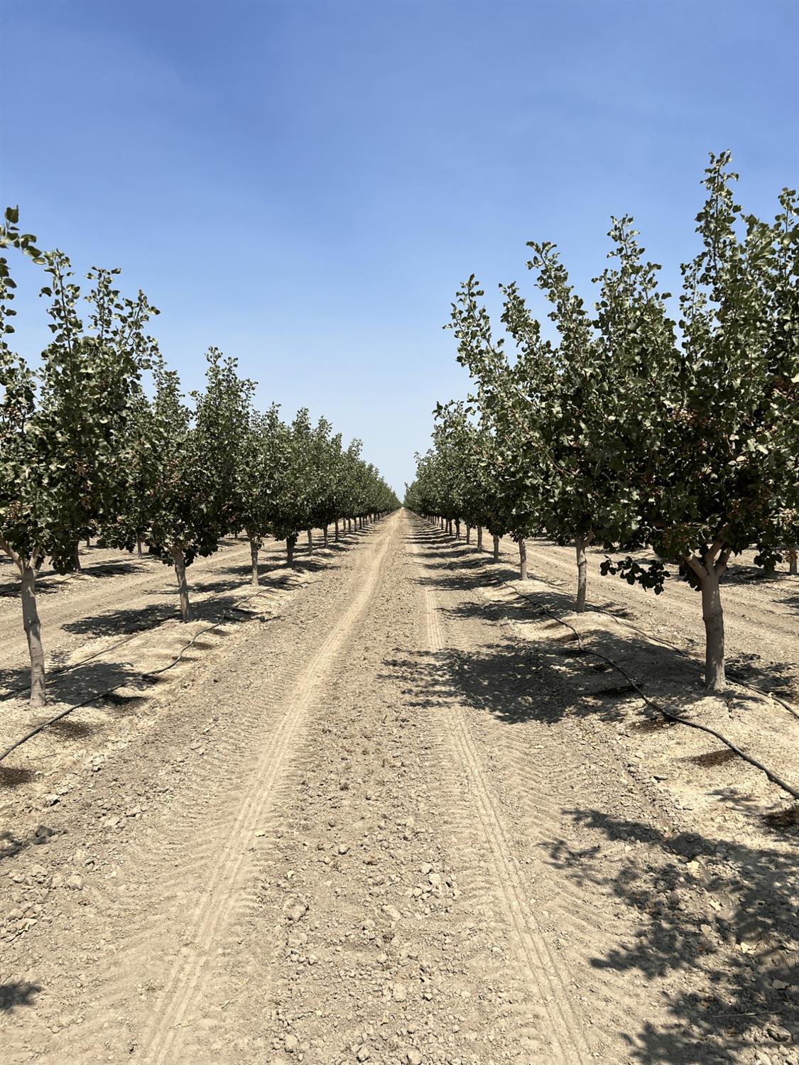 0 - Idaho Ave, Hanford, CA 93230