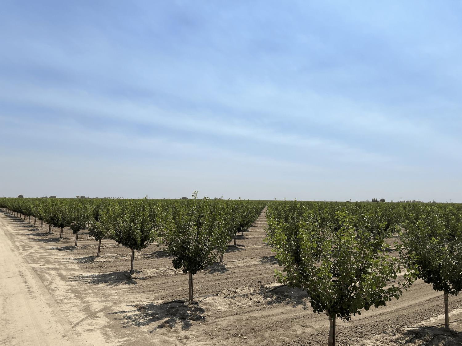 0 - Idaho Ave, Hanford, CA 93230