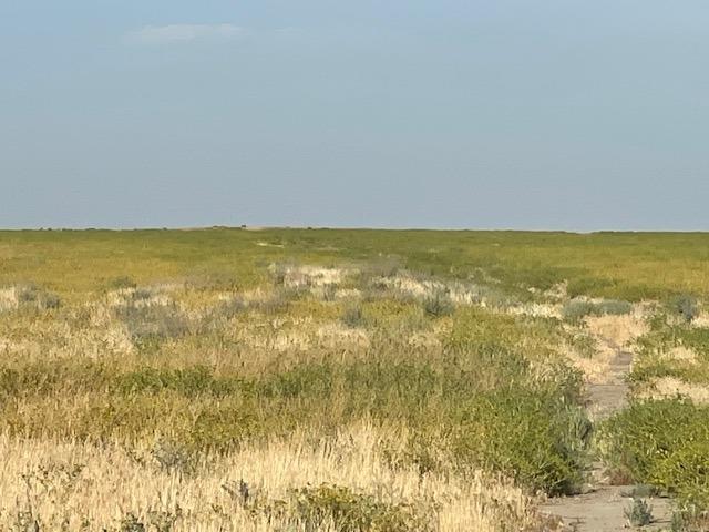 0 0 Poso Canal, Corcoran, CA 93212