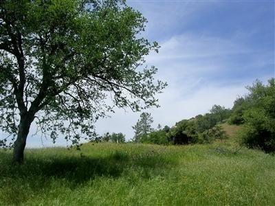 0 00 Aunt Julia, Auberry, CA 93602