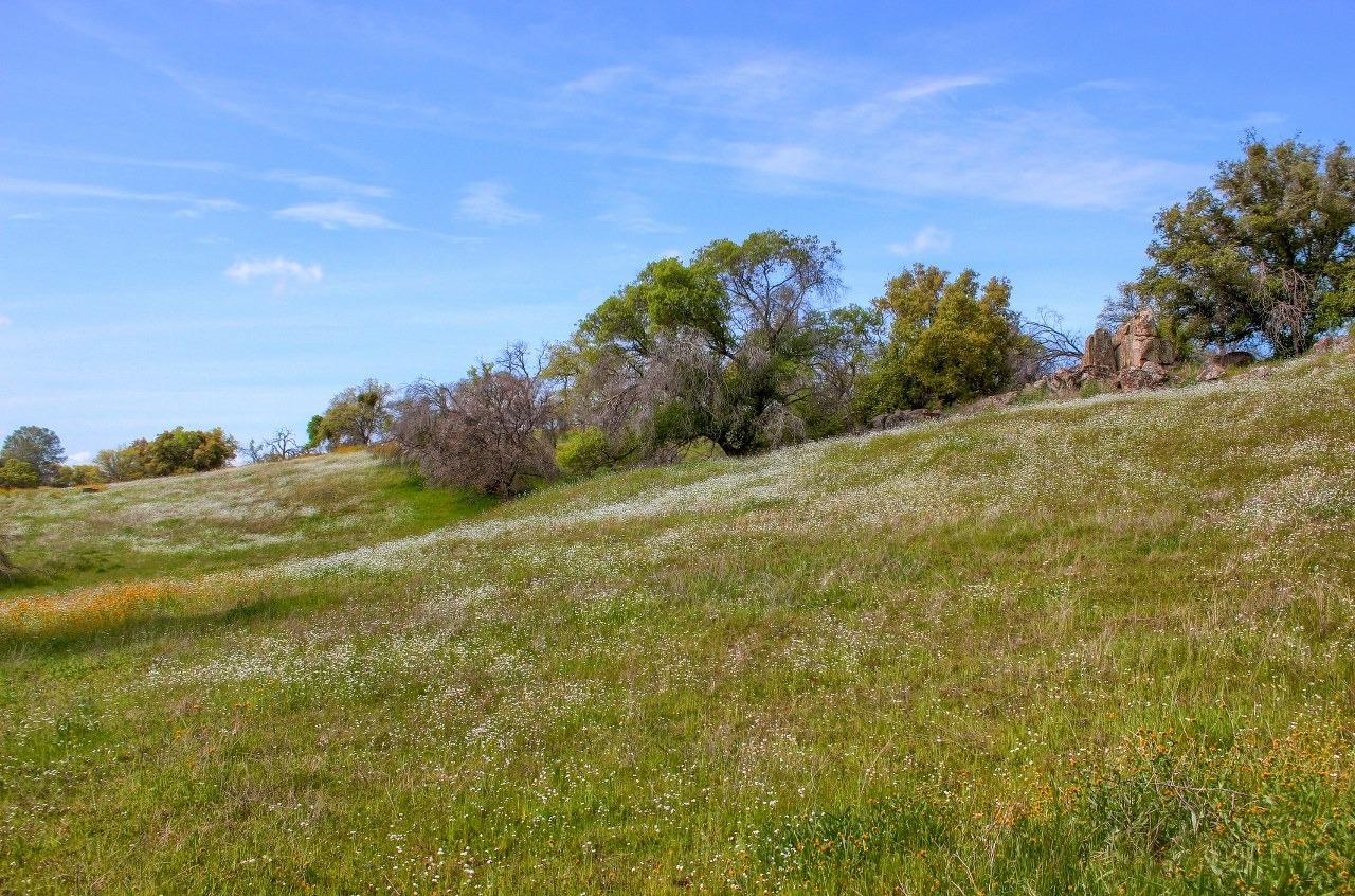 32604 Road 600, Raymond, CA 93653