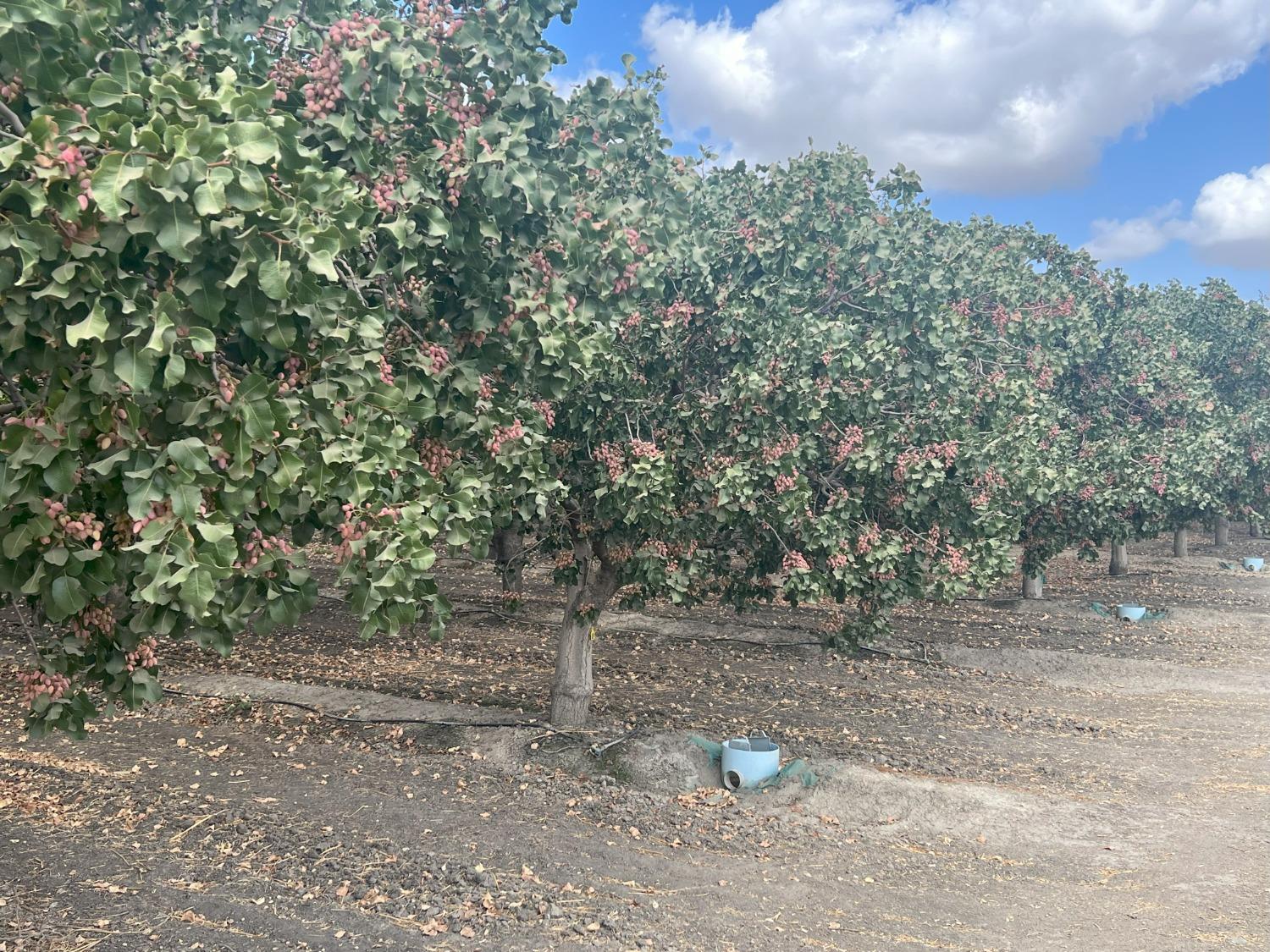 4005 Idaho Ave, Hanford, CA 93230