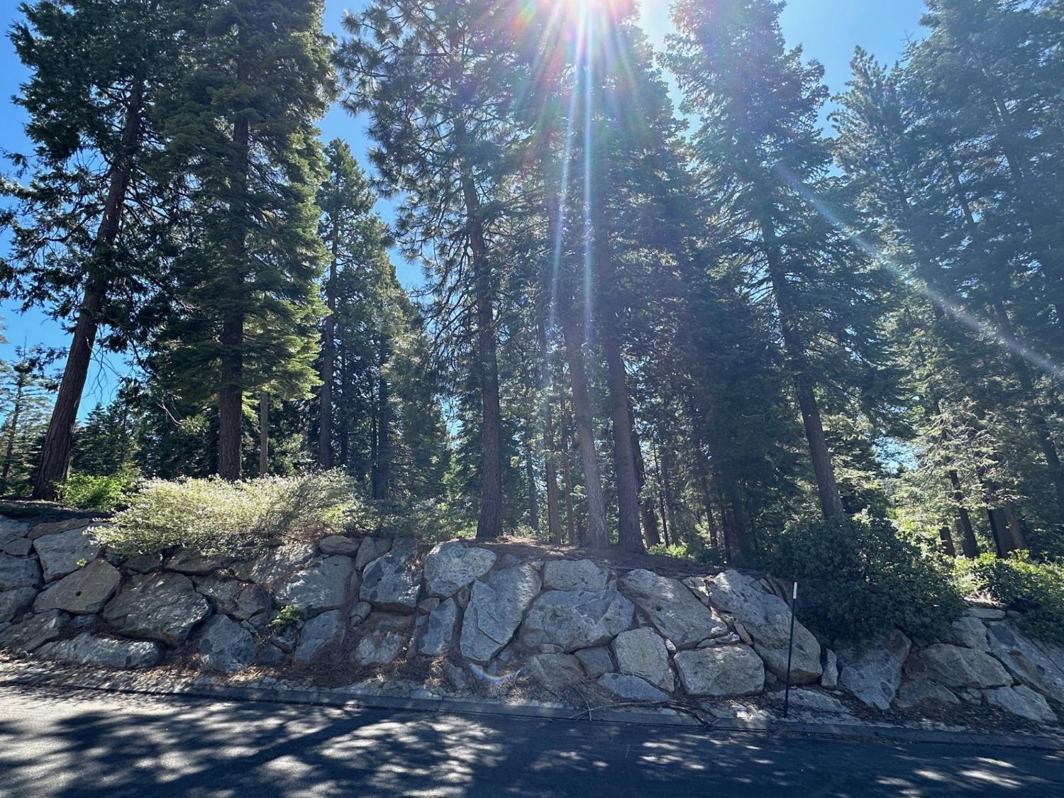 42142 Opal Ln, Shaver Lake, CA 93664