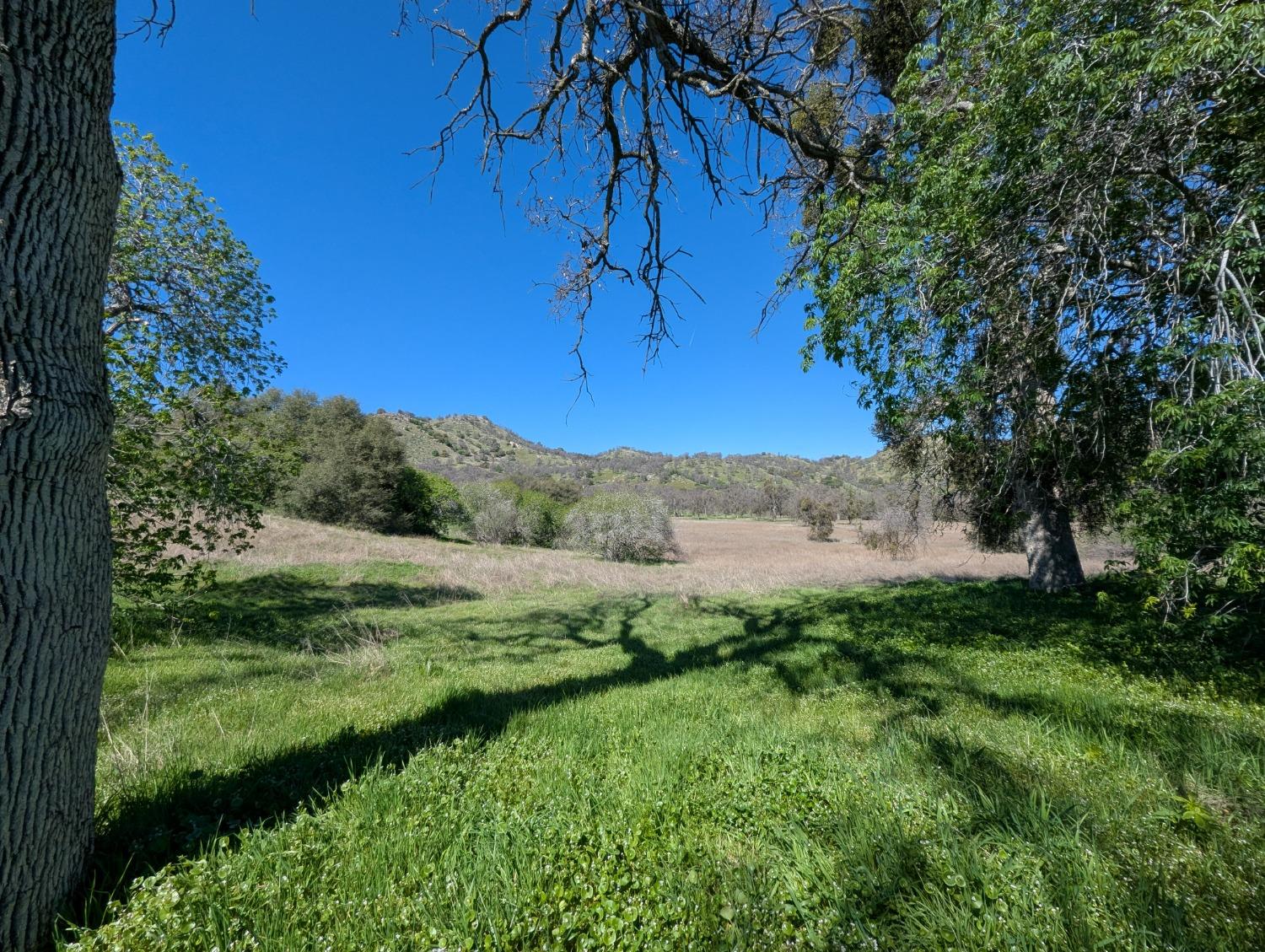 45288 Sand Creek Rd, Yokuts Valley, CA 93675
