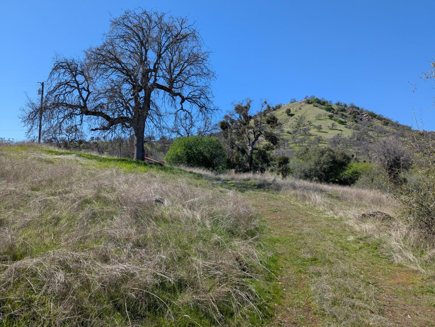 45288 Sand Creek Rd, Yokuts Valley, CA 93675