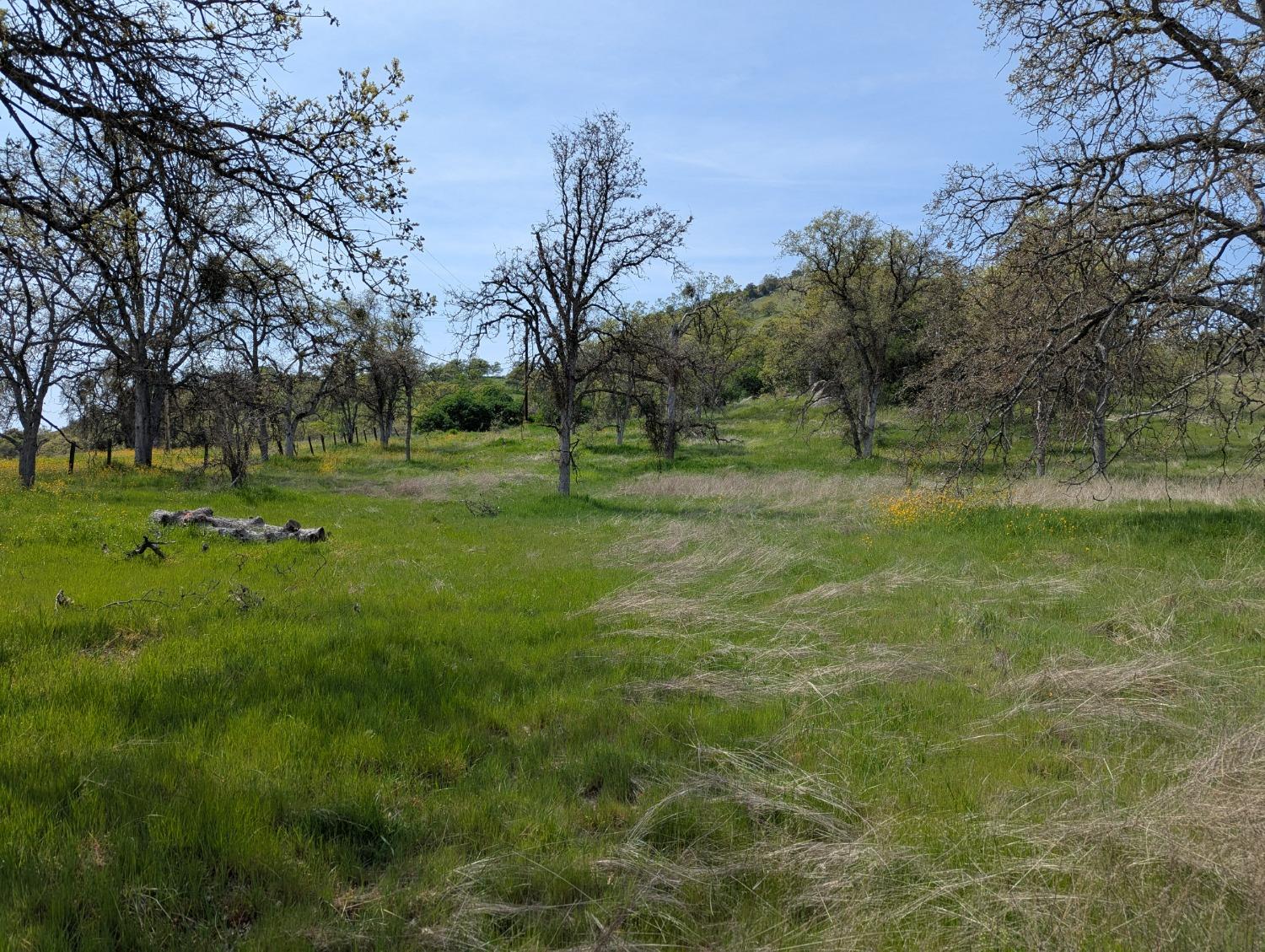 45288 Sand Creek Rd, Yokuts Valley, CA 93675
