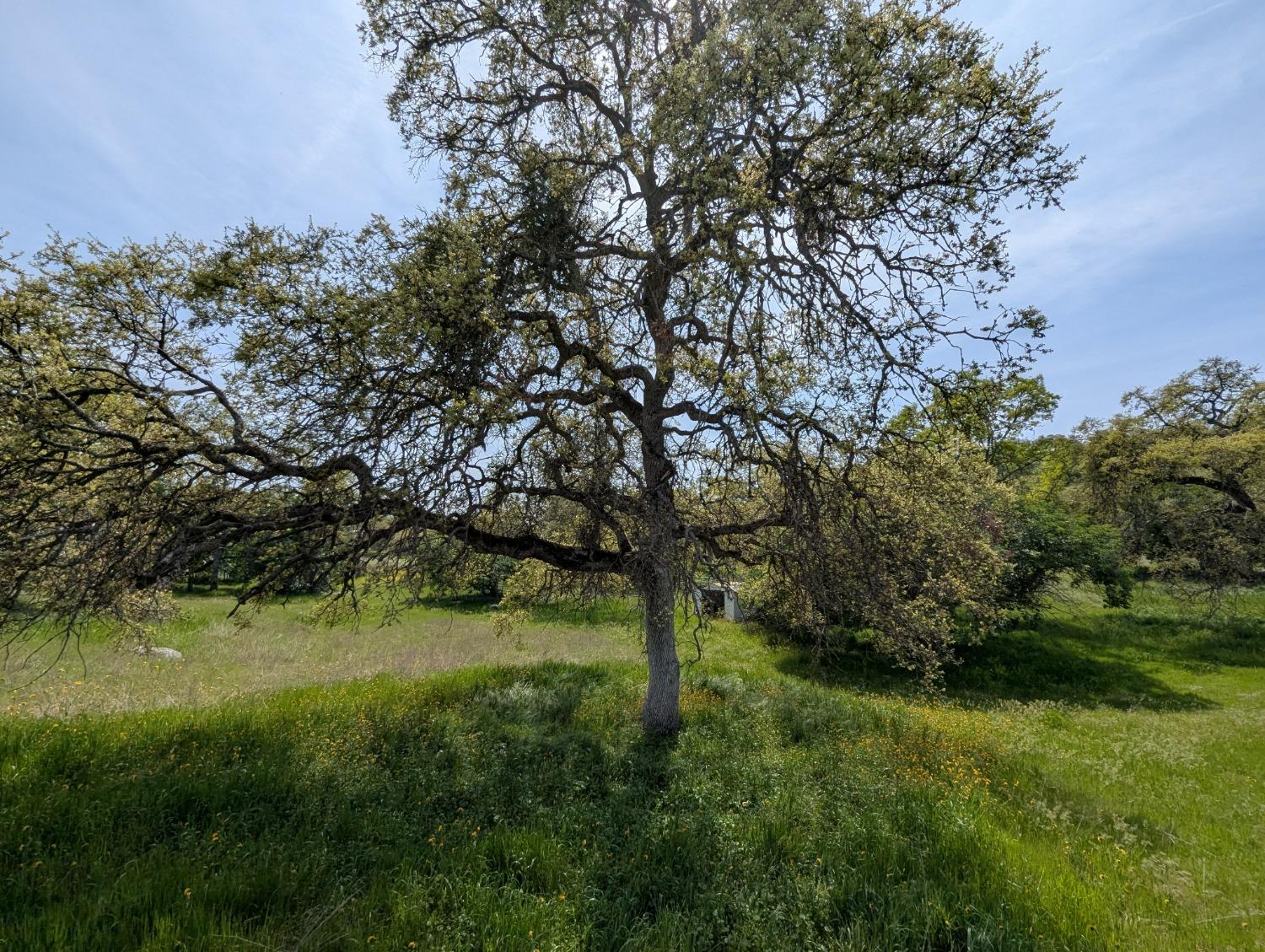 45288 Sand Creek Rd, Yokuts Valley, CA 93675