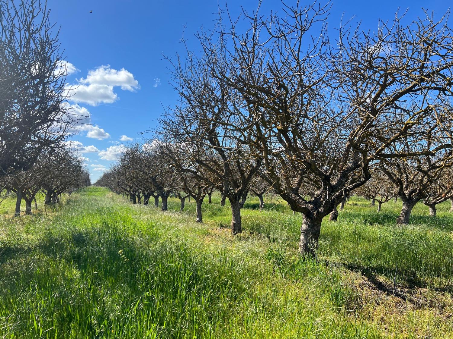 0 0000 Ave 21, Madera, CA 93638