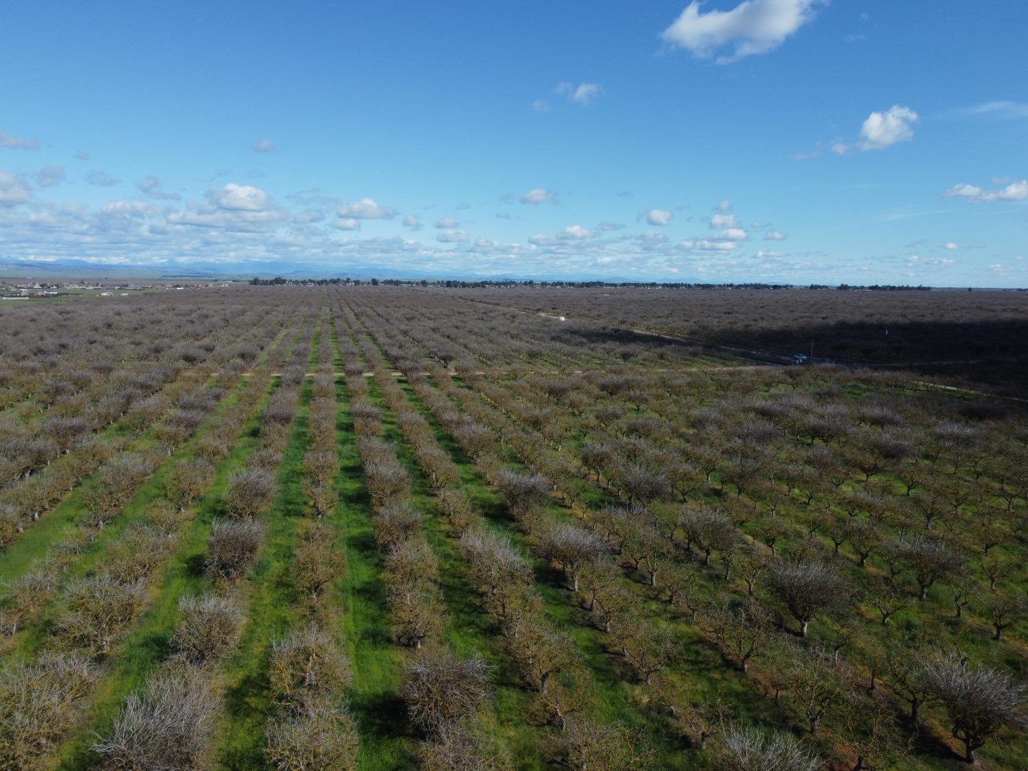 0 0000 Ave 21, Madera, CA 93638