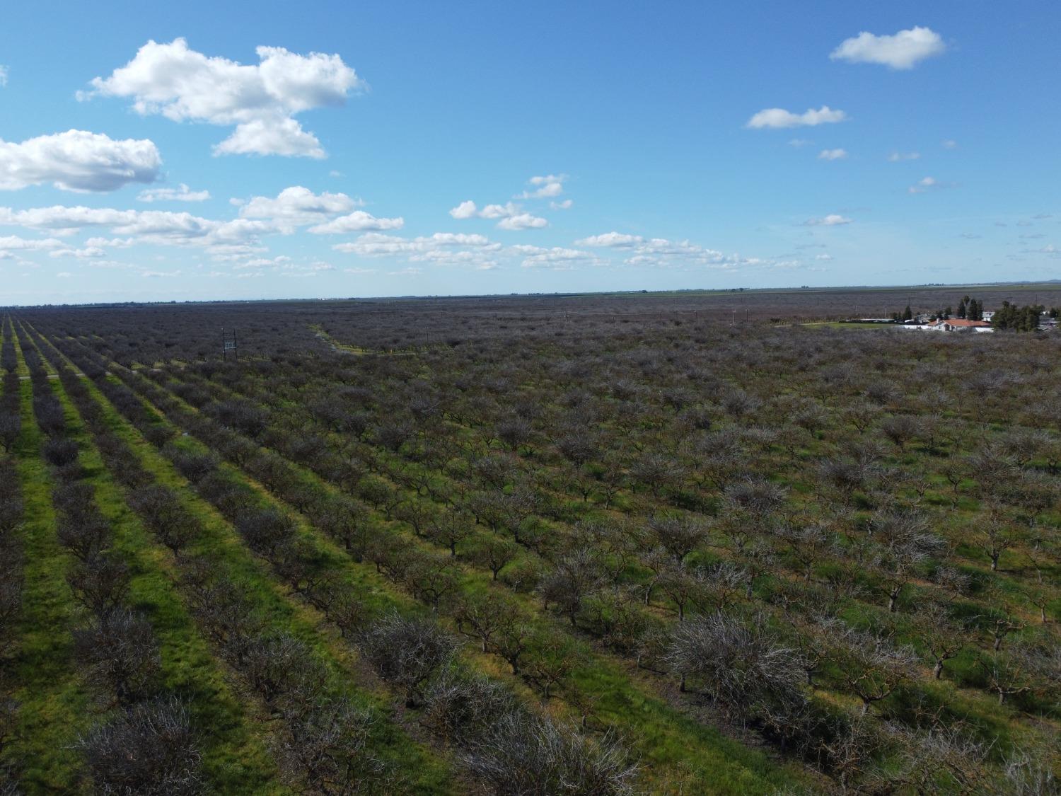 0 0000 Ave 21, Madera, CA 93638