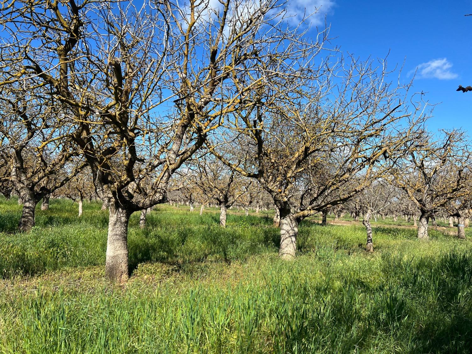 0 0000 Ave 21, Madera, CA 93638