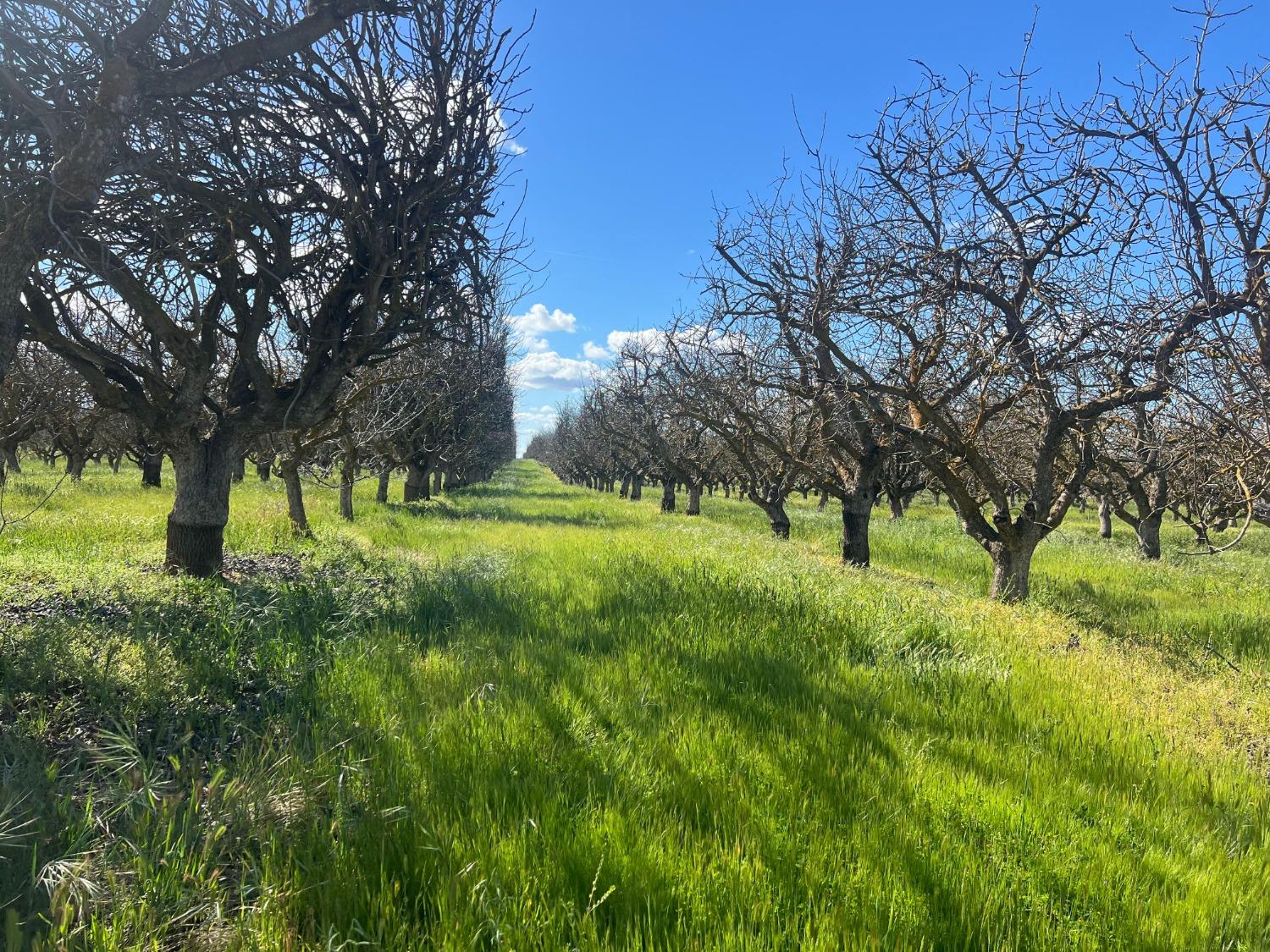 0 0000 Ave 21, Madera, CA 93638