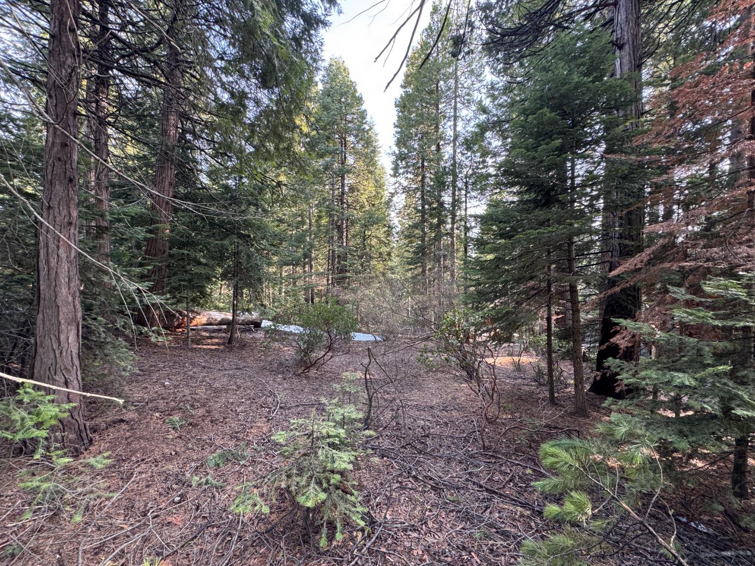 19 Rock Shelf Ln, Shaver Lake, CA 93664