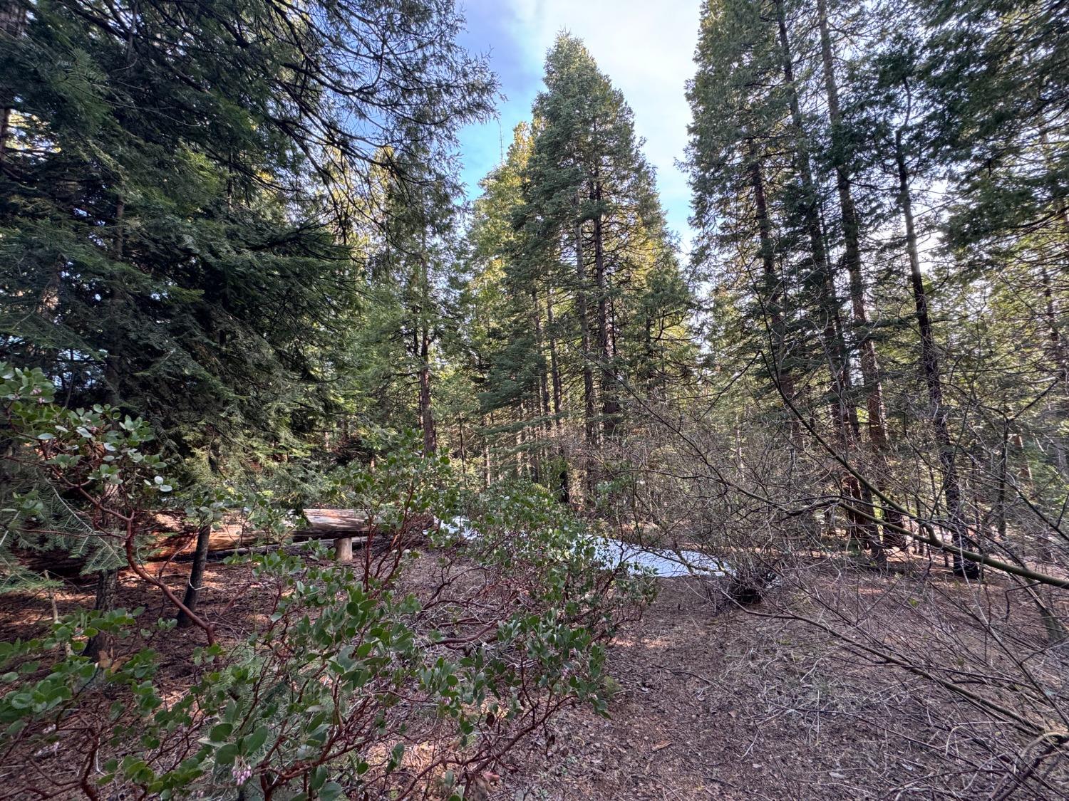 19 Rock Shelf Ln, Shaver Lake, CA 93664