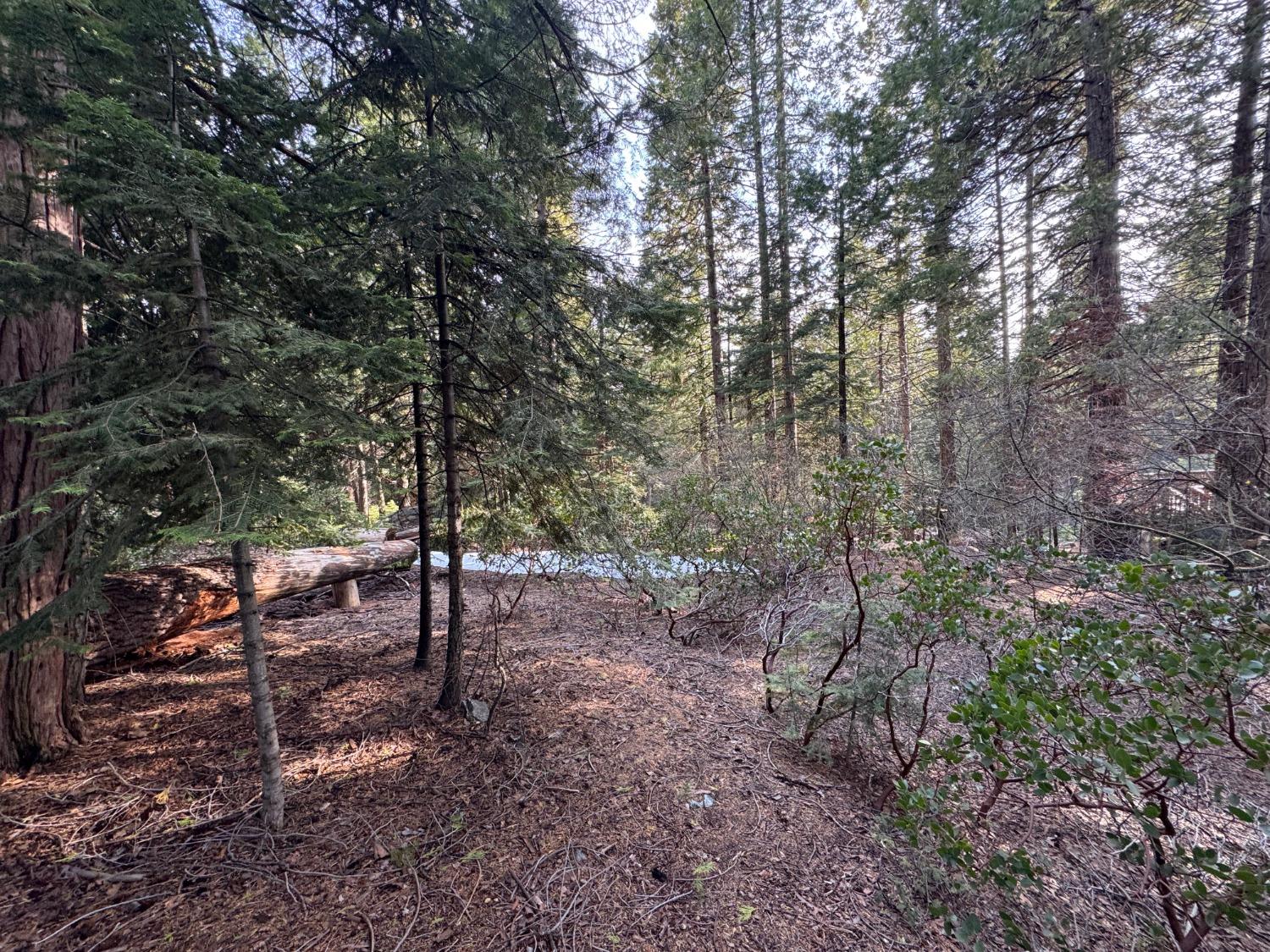 19 Rock Shelf Ln, Shaver Lake, CA 93664