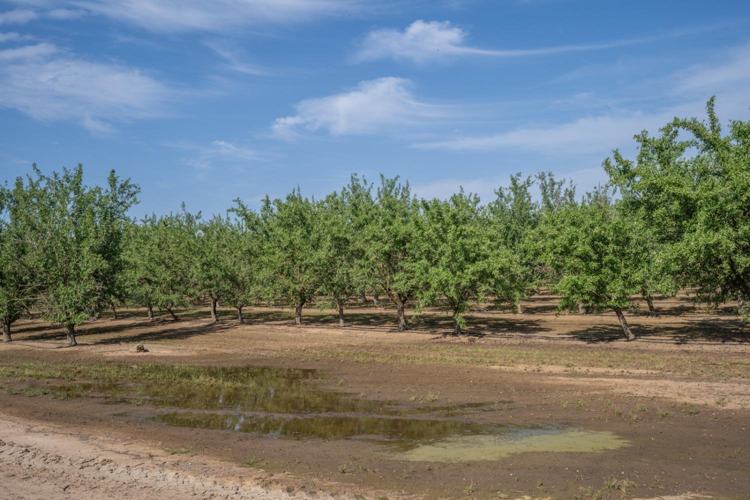 14155 Buchanan Hollow, Le Grand, CA 95333