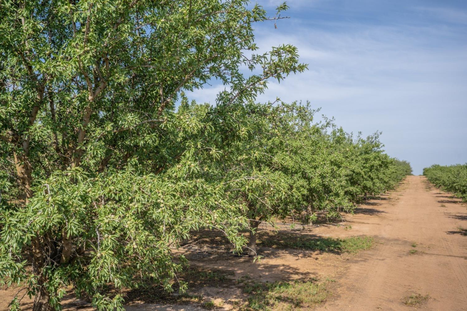 14155 Buchanan Hollow, Le Grand, CA 95333