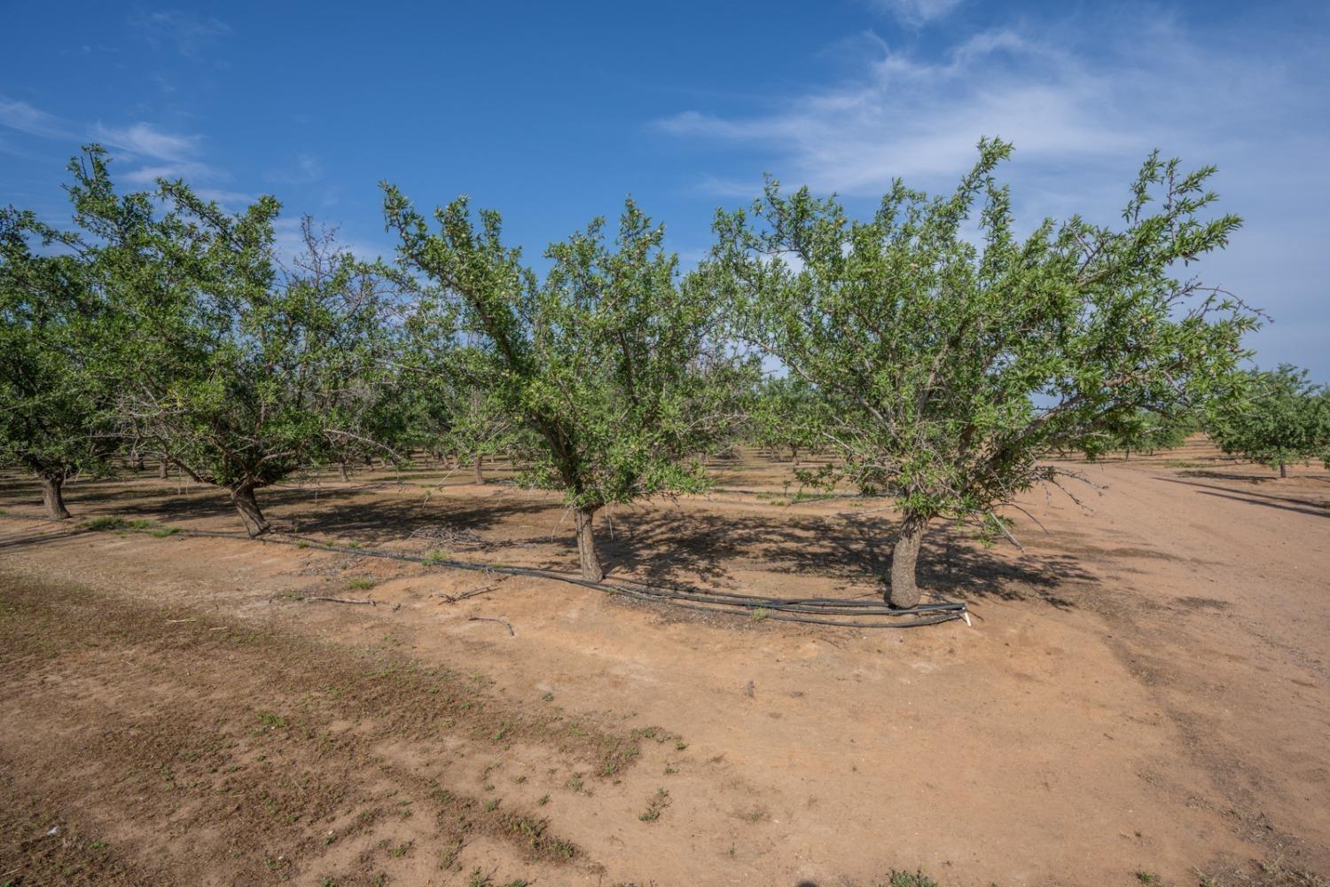 14155 Buchanan Hollow, Le Grand, CA 95333