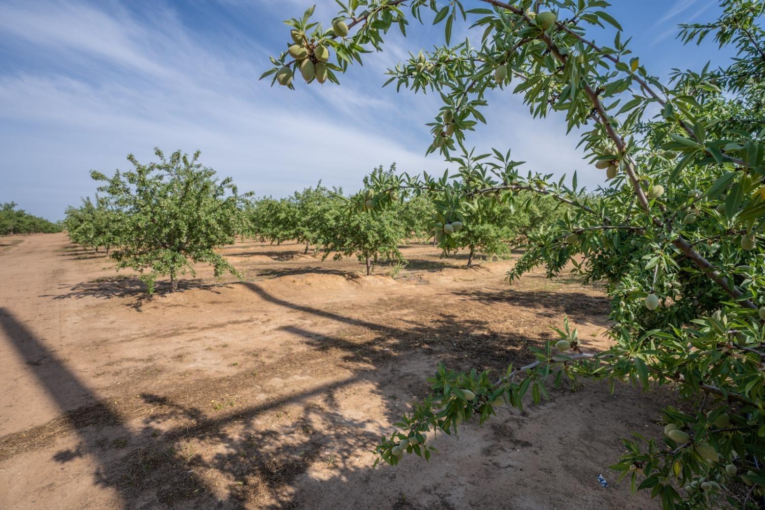 14155 Buchanan Hollow, Le Grand, CA 95333