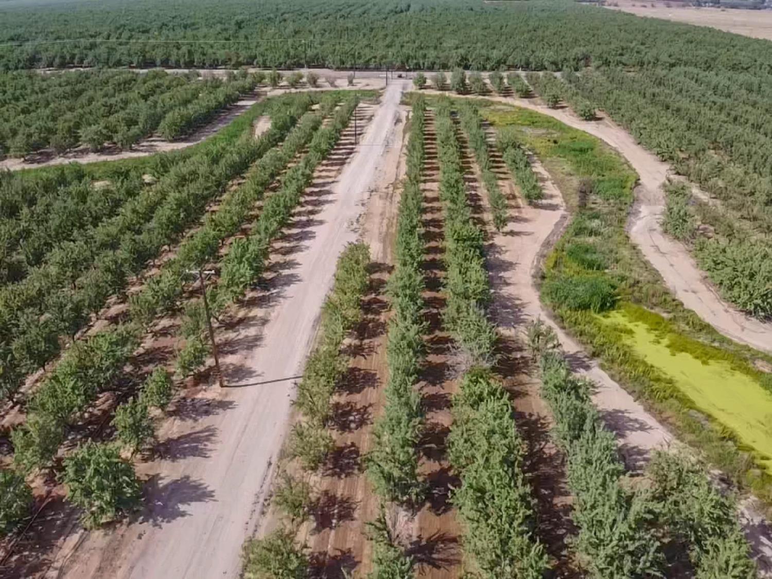 14155 Buchanan Hollow, Le Grand, CA 95333