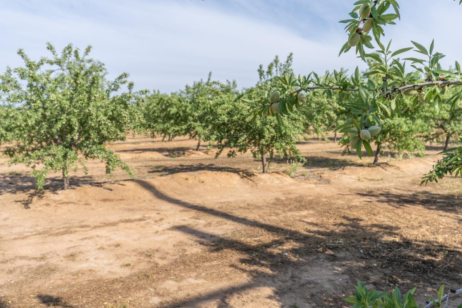 14155 Buchanan Hollow, Le Grand, CA 95333