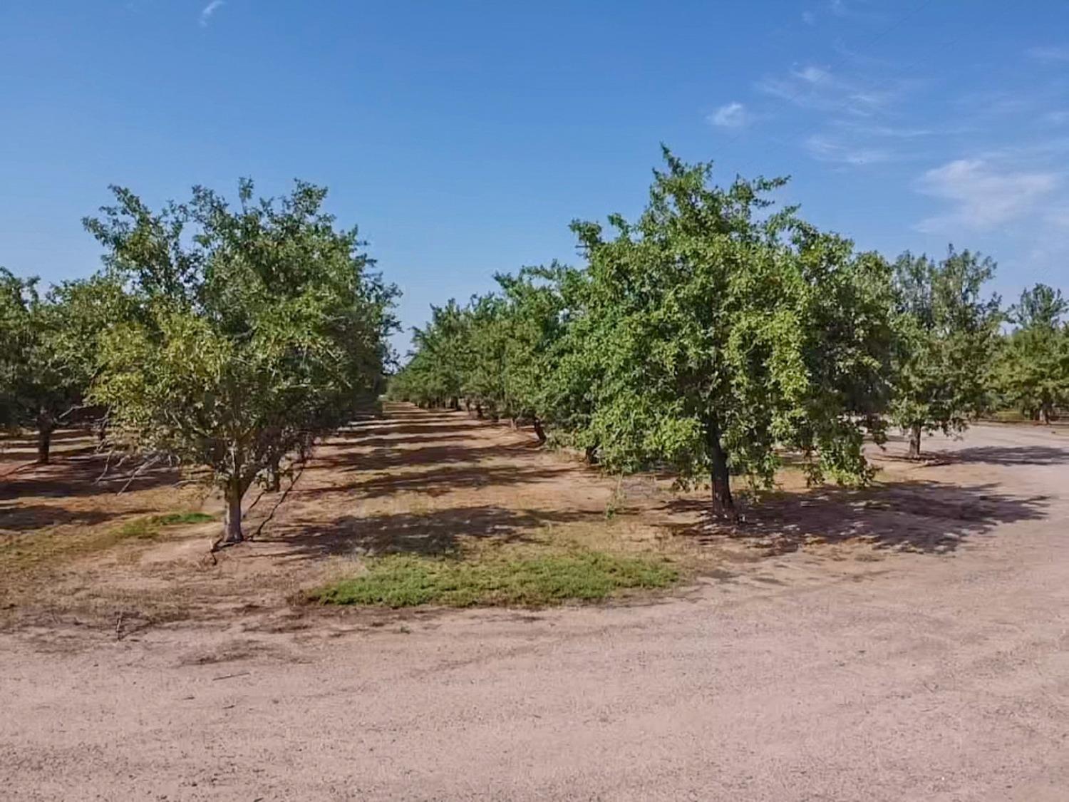 14155 Buchanan Hollow, Le Grand, CA 95333