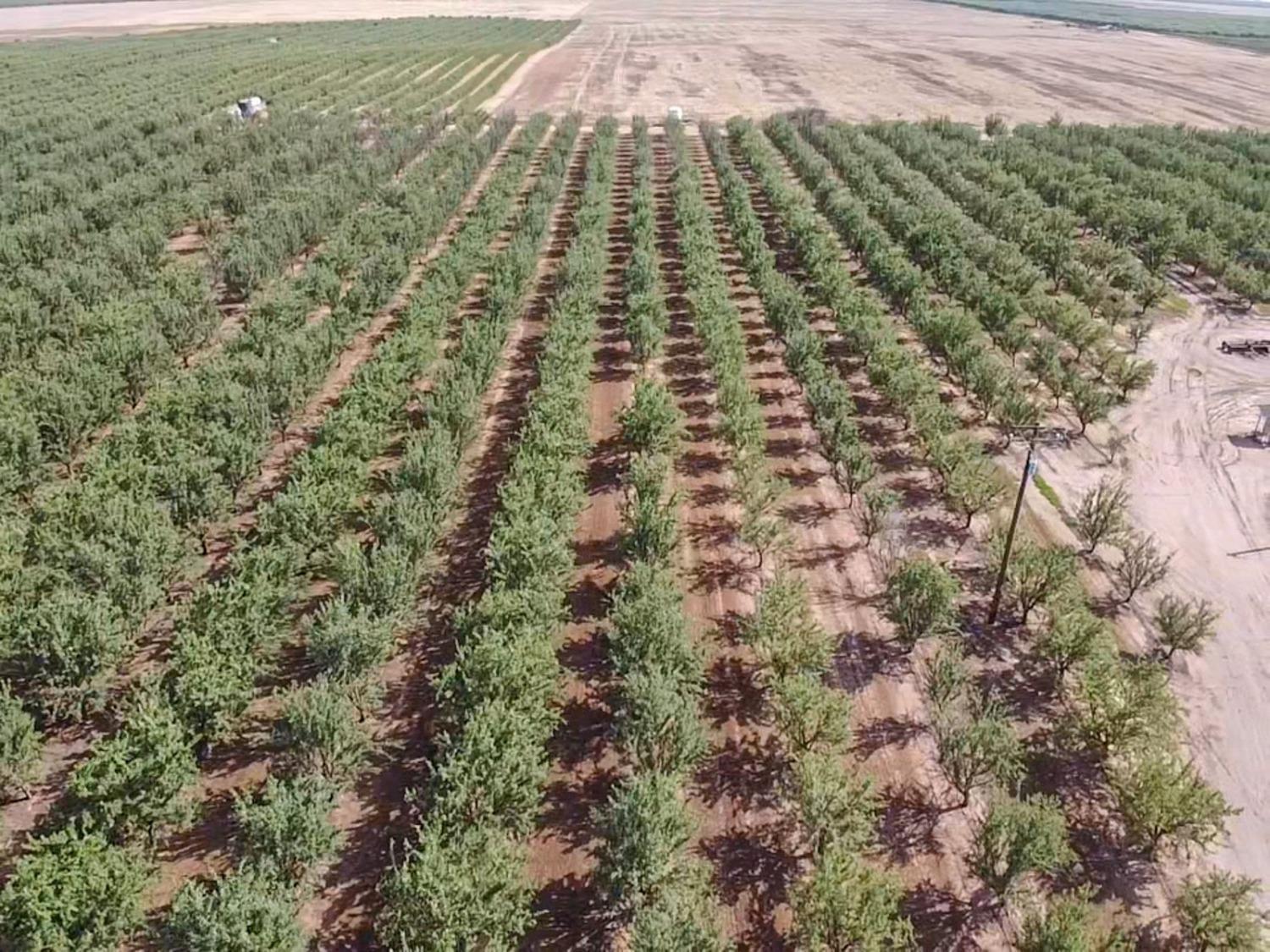 14155 Buchanan Hollow, Le Grand, CA 95333