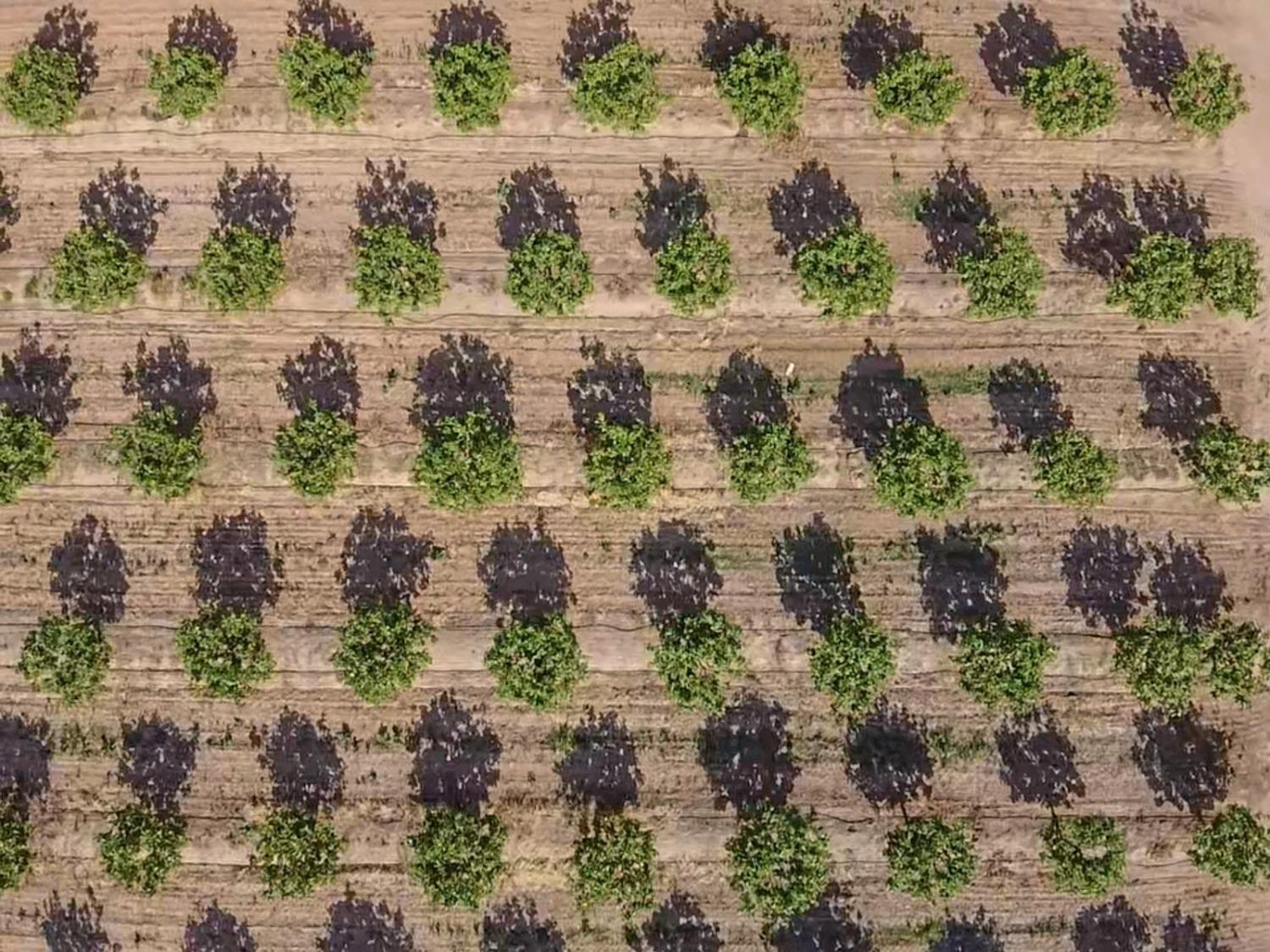 14155 Buchanan Hollow, Le Grand, CA 95333