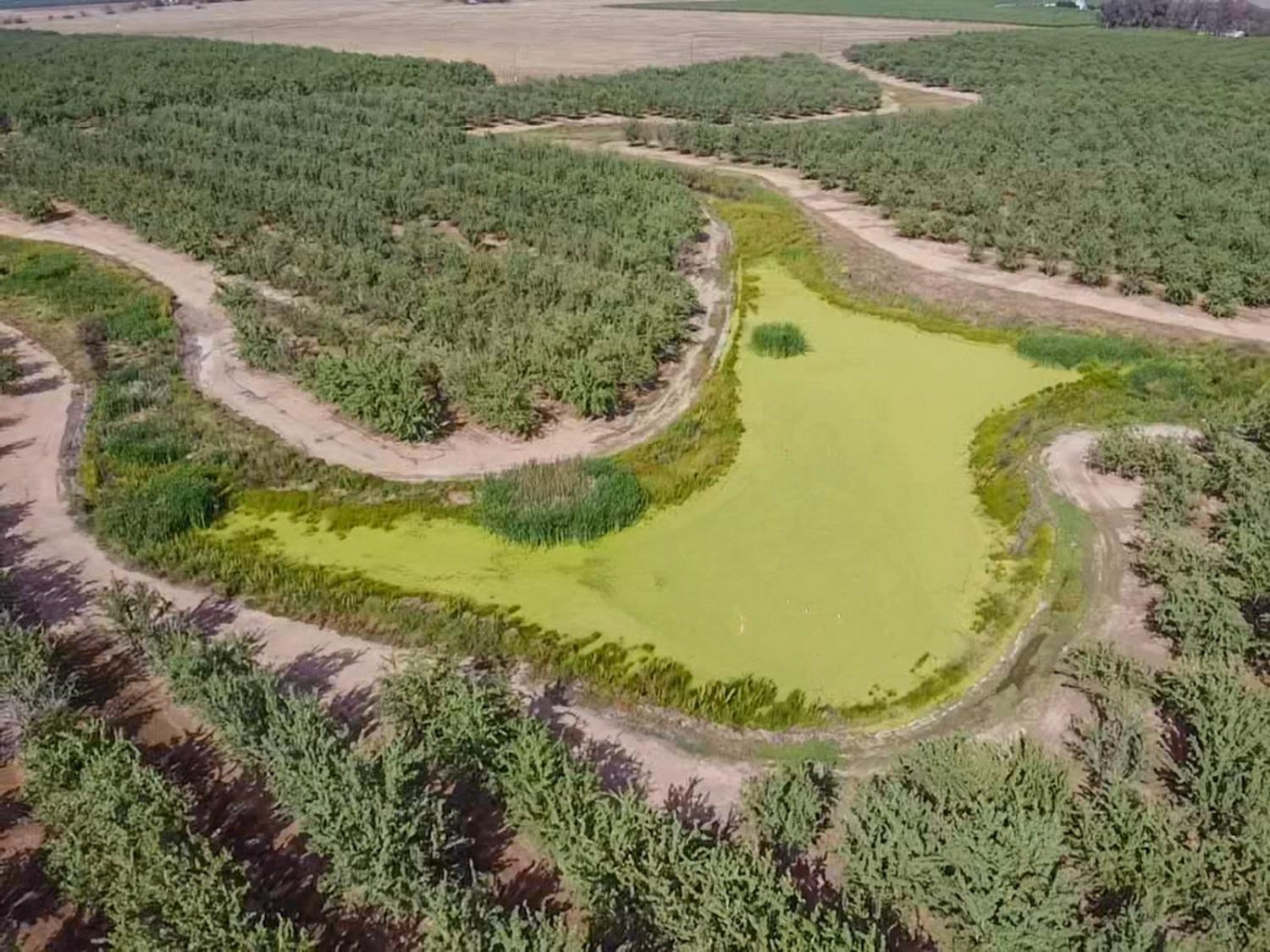 14155 Buchanan Hollow, Le Grand, CA 95333