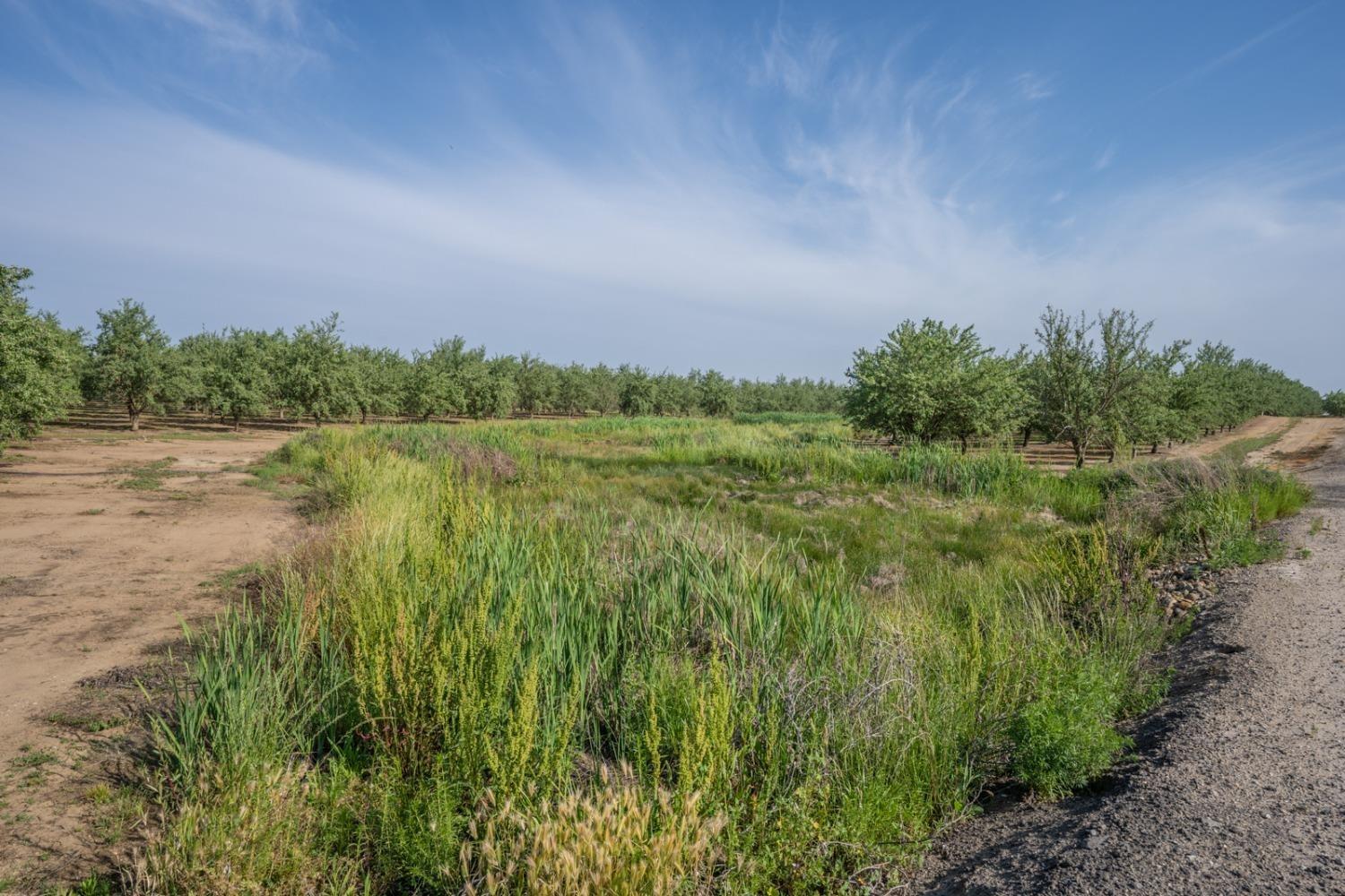 14155 Buchanan Hollow, Le Grand, CA 95333