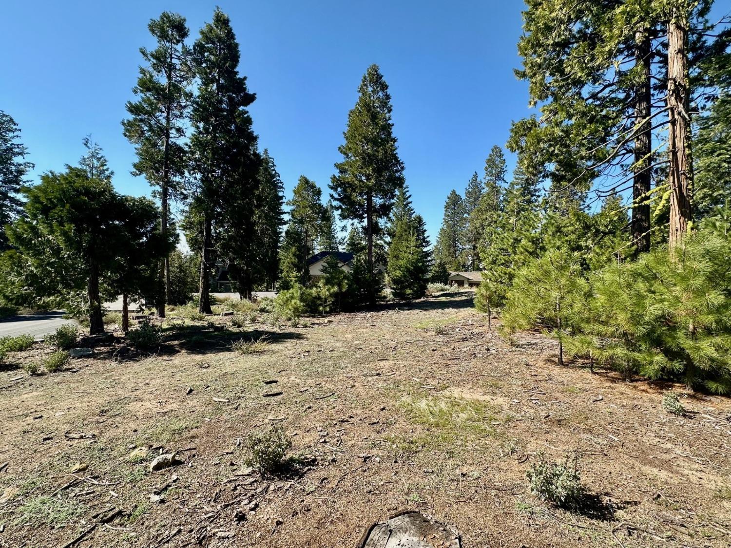 40730 Sierra Violet Ln, Shaver Lake, CA 93664