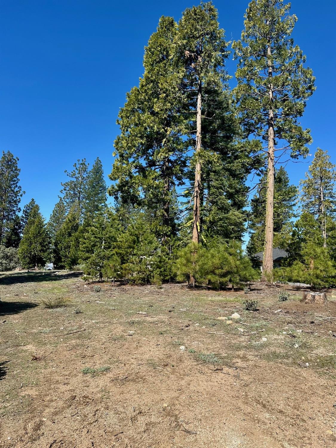 40730 Sierra Violet Ln, Shaver Lake, CA 93664