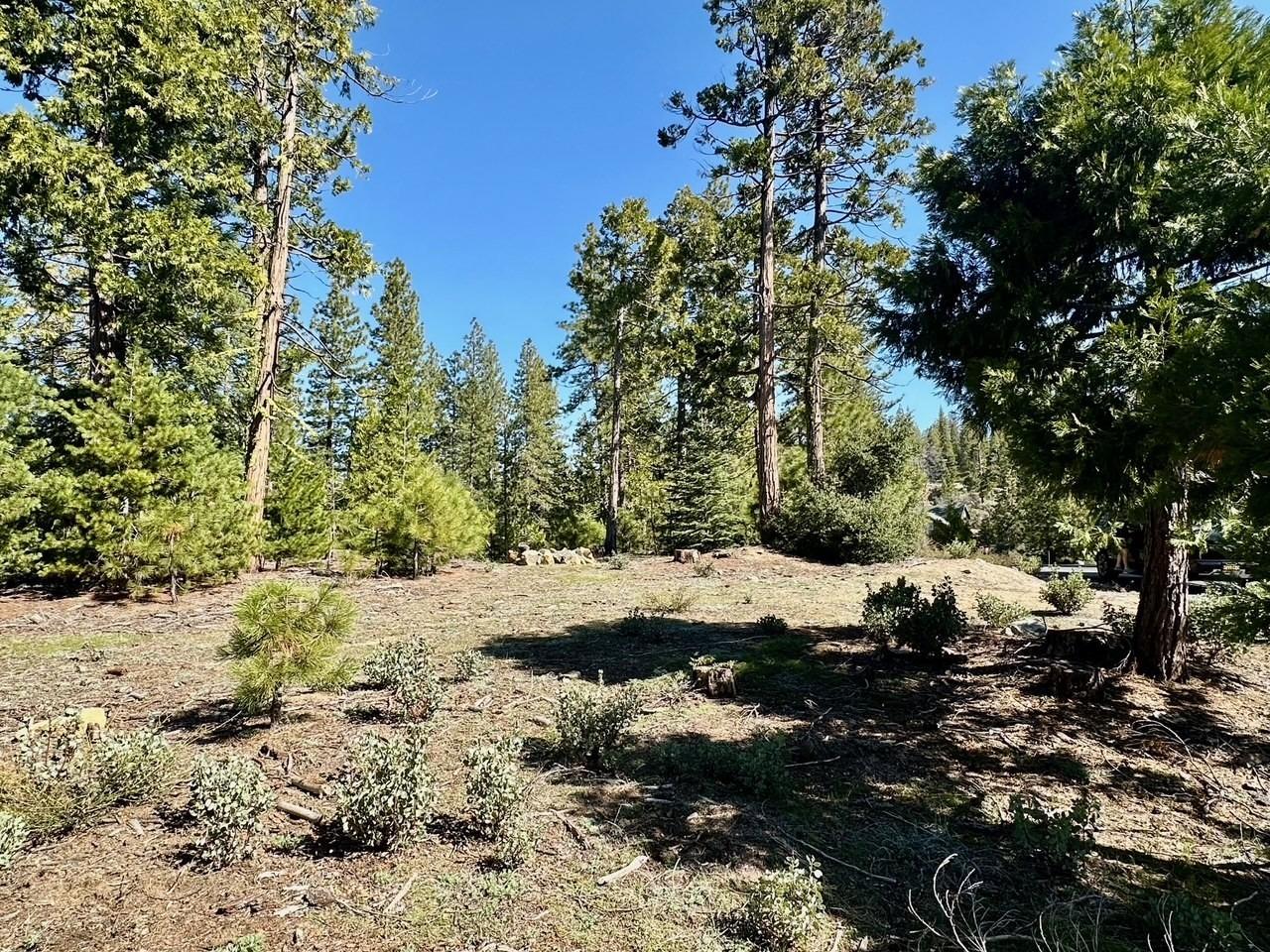 40730 Sierra Violet Ln, Shaver Lake, CA 93664