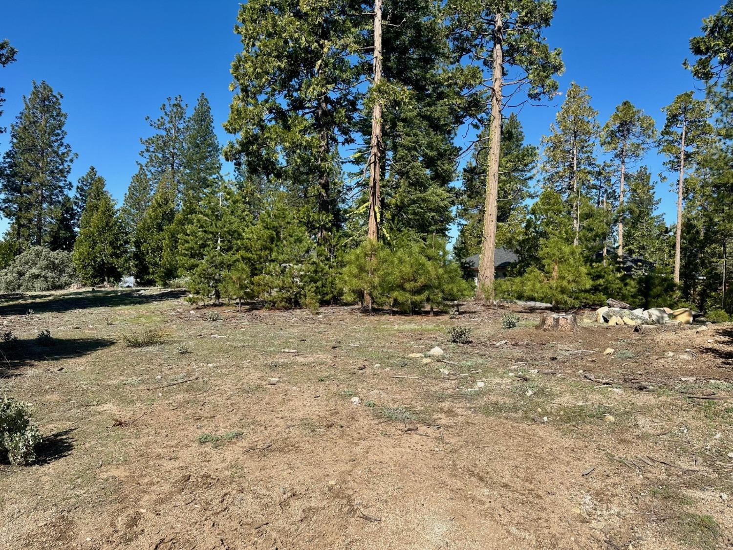 40730 Sierra Violet Ln, Shaver Lake, CA 93664