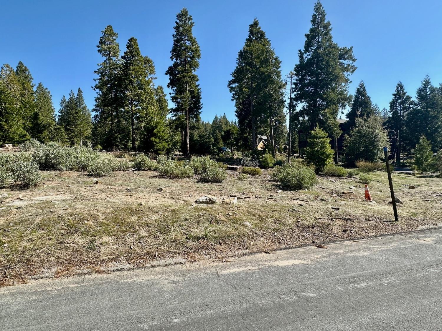 40730 Sierra Violet Ln, Shaver Lake, CA 93664