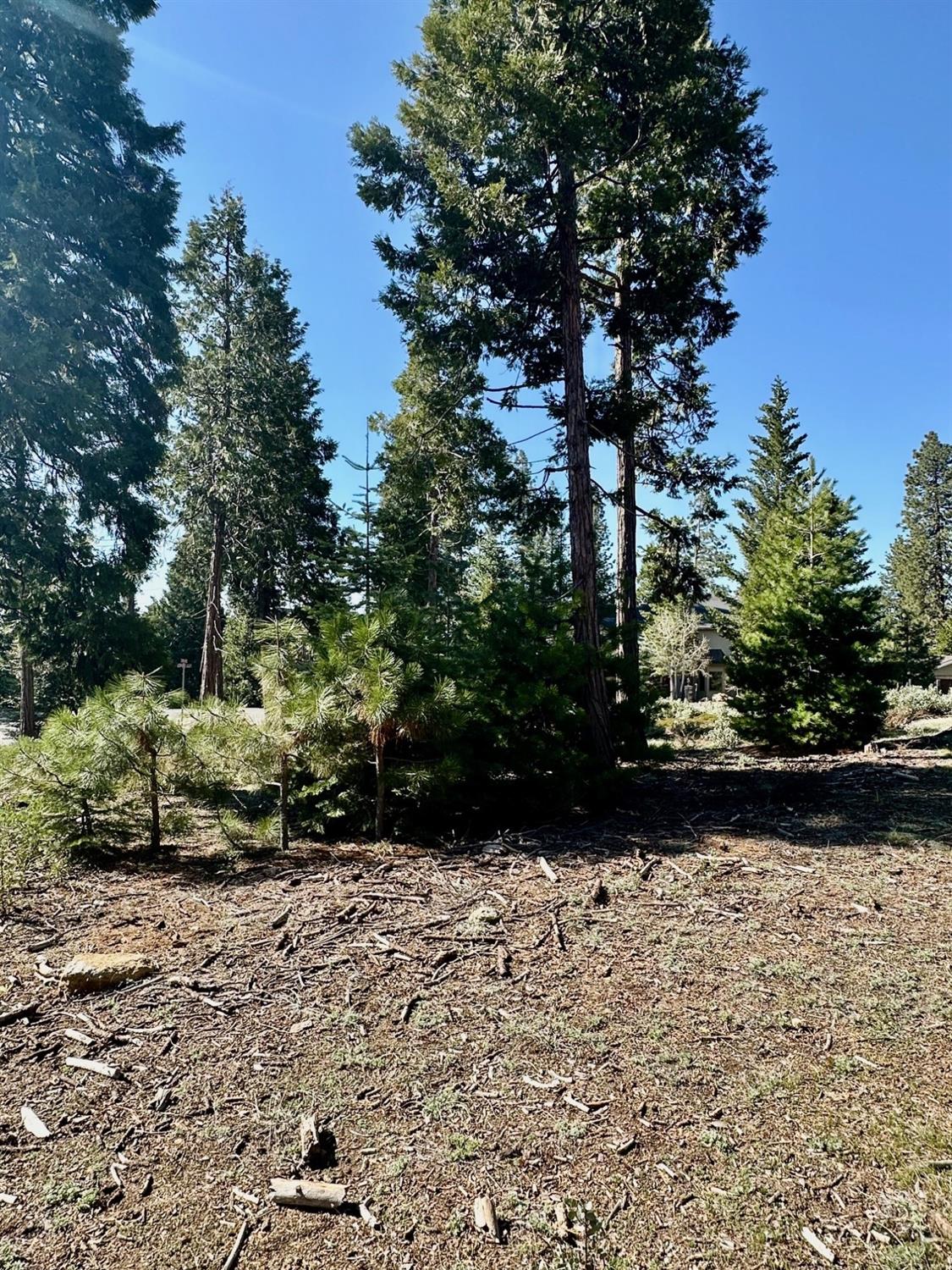40730 Sierra Violet Ln, Shaver Lake, CA 93664
