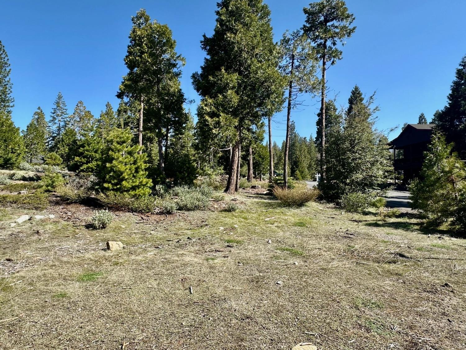 40730 Sierra Violet Ln, Shaver Lake, CA 93664