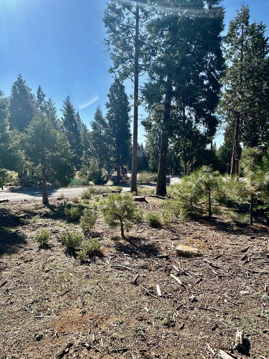 40730 Sierra Violet Ln, Shaver Lake, CA 93664