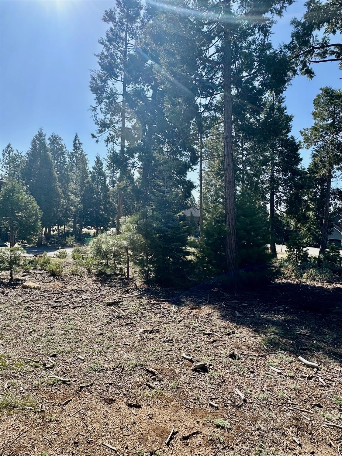 40730 Sierra Violet Ln, Shaver Lake, CA 93664