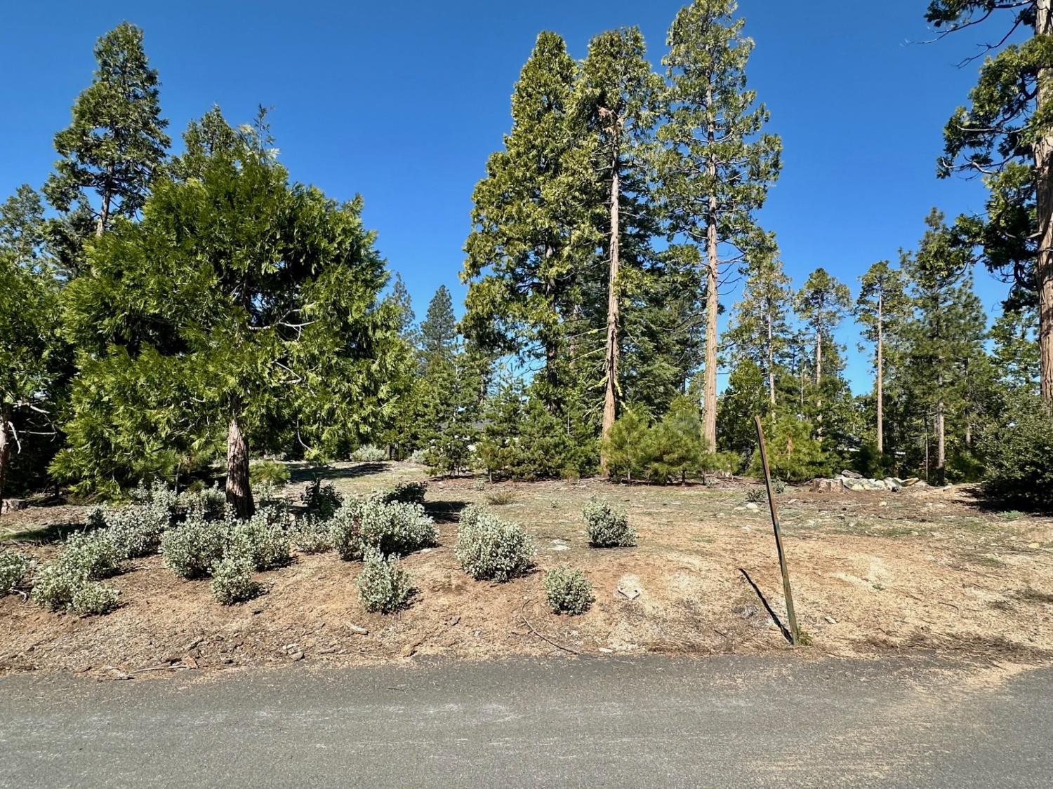 40730 Sierra Violet Ln, Shaver Lake, CA 93664