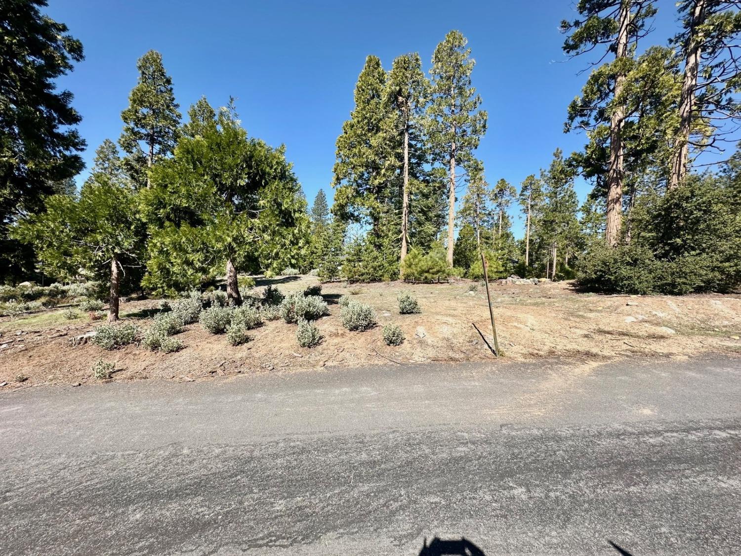 40730 Sierra Violet Ln, Shaver Lake, CA 93664