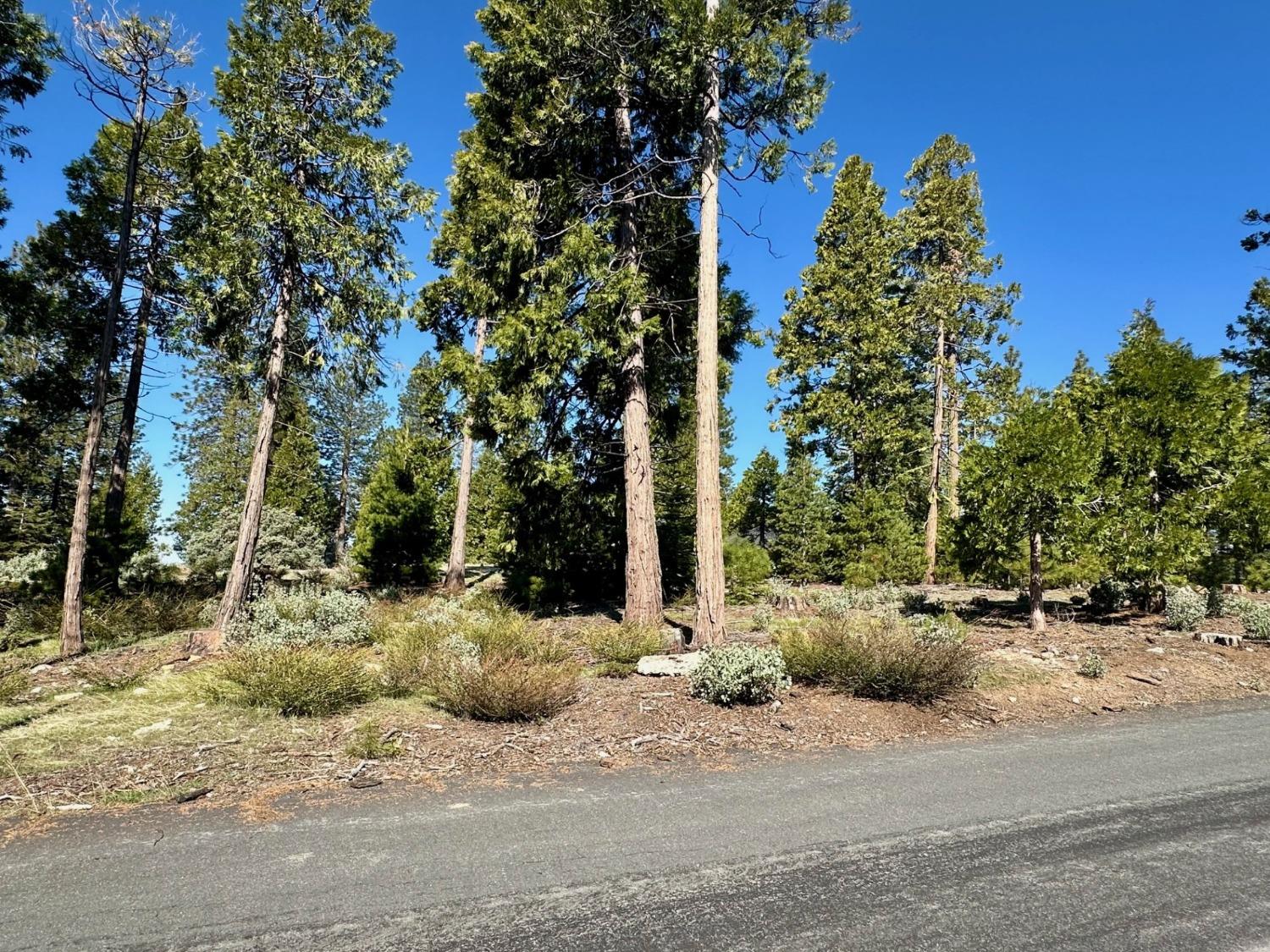 40730 Sierra Violet Ln, Shaver Lake, CA 93664