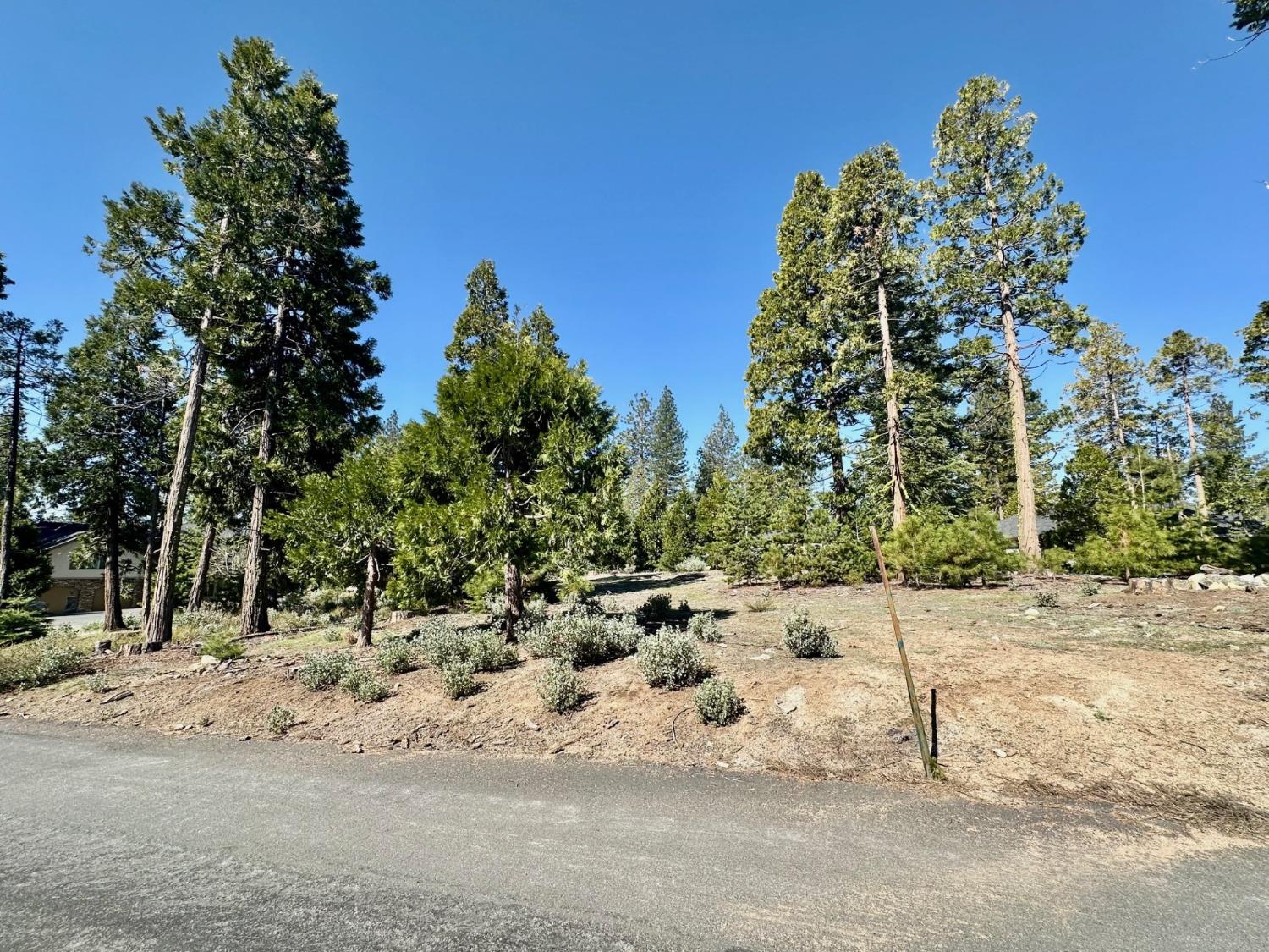 40730 Sierra Violet Ln, Shaver Lake, CA 93664