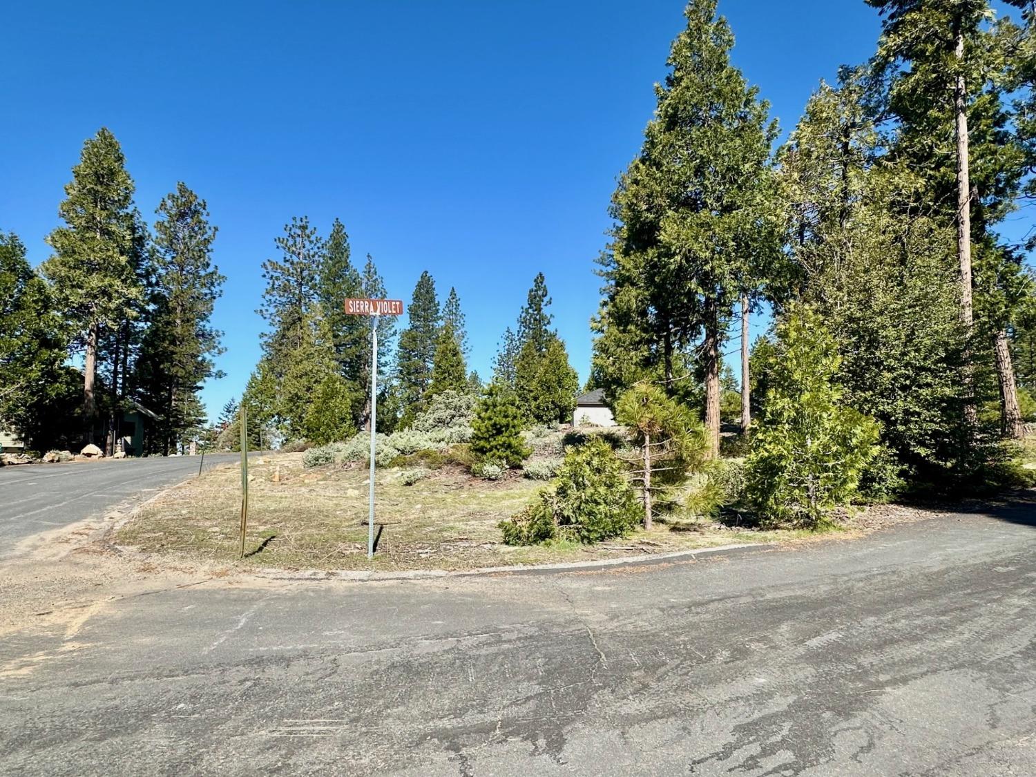 40730 Sierra Violet Ln, Shaver Lake, CA 93664