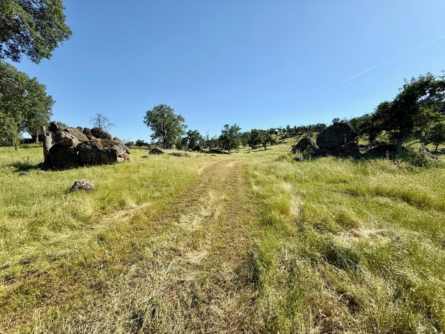 17159 Coyote Pass Ln, Clovis, CA 93619