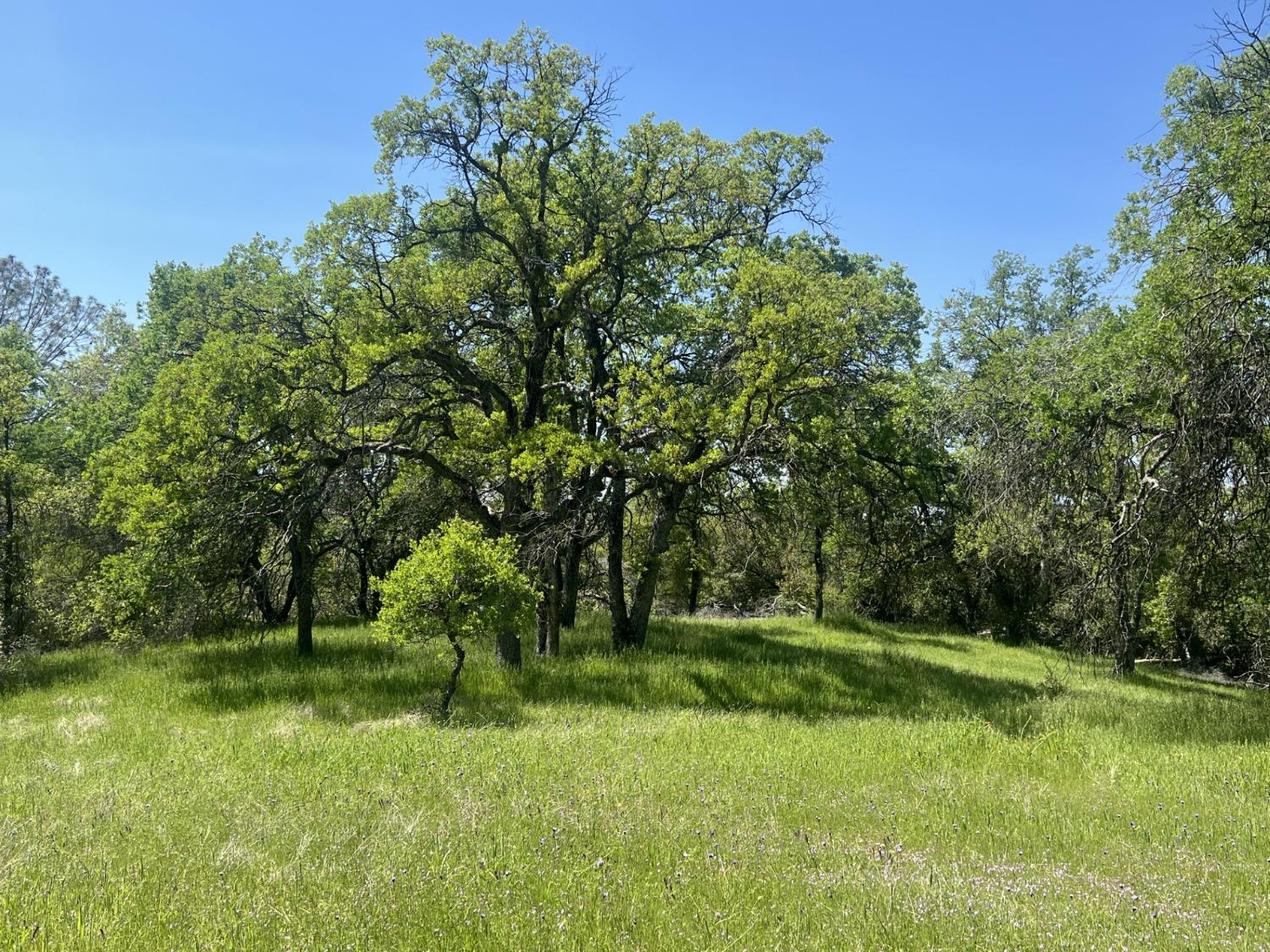 0 20AC Veater Ranch Rd, Coarsegold, CA 93614