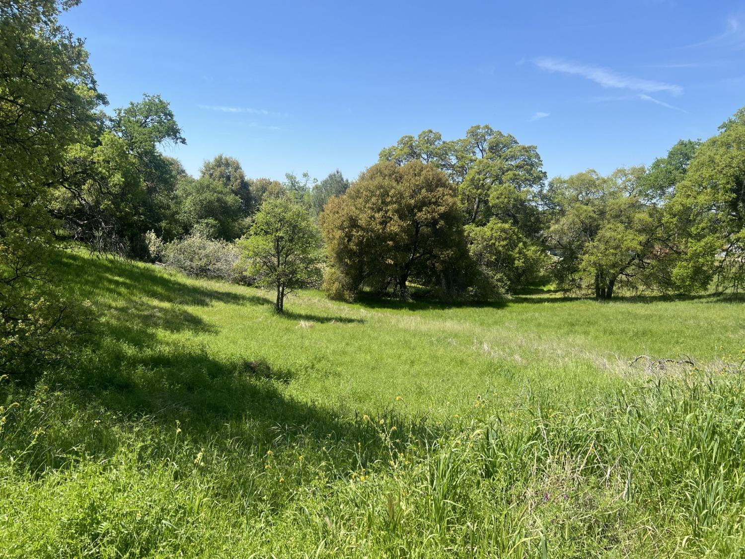 0 20AC Veater Ranch Rd, Coarsegold, CA 93614