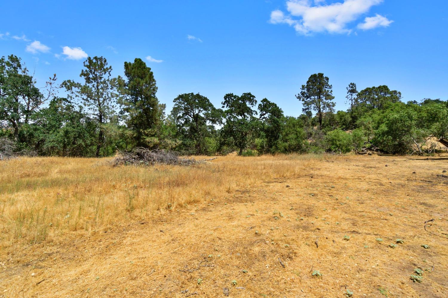 1812 Sentinel Ct, Coarsegold, CA 93614