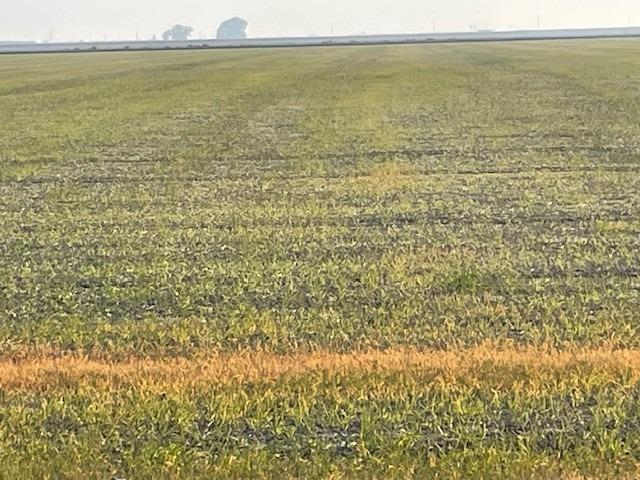 21999 W W. Manning, San Joaquin, CA 93660