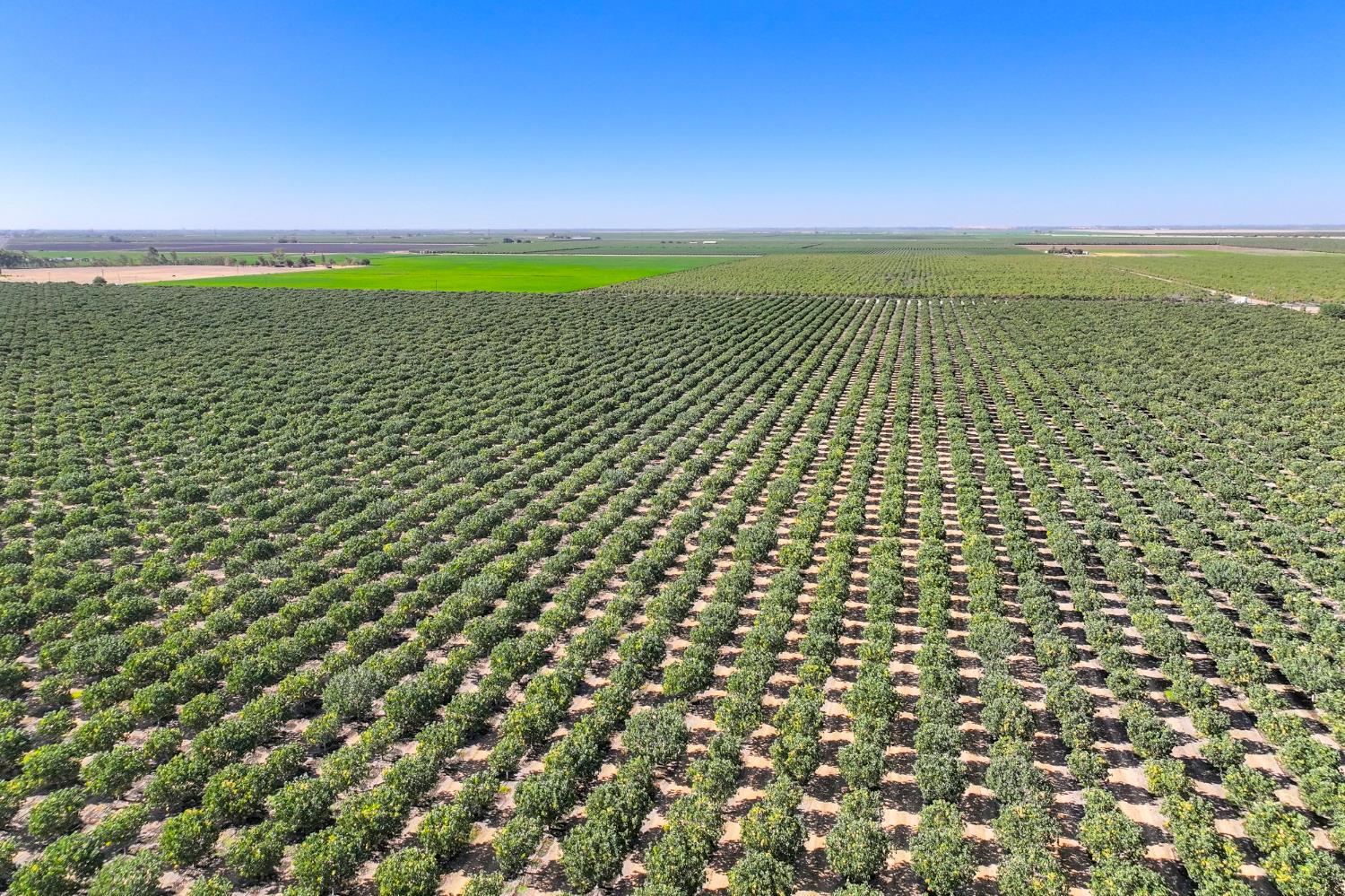 0 0 W Huntsman Ave, San Joaquin, CA 93660